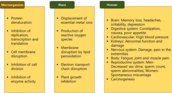 Fig. 3. Effects of heavy metals and reactive oxygen species on microorganism, plant and human [23, 24]