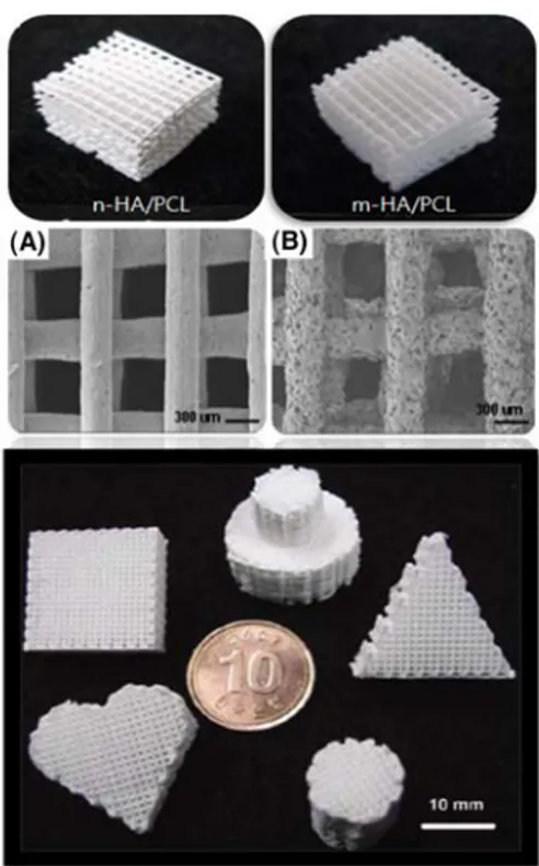 그림 4. Various  scaffolds  manufactured  using  the  layer manufacturing  process(LMP)  with  (A)  nano-  and (B) micro-sized hydroxyapatite(HA) particles.
