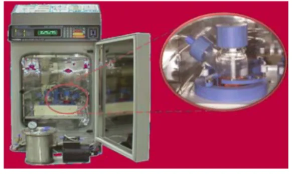 그림 6.  A  bioreactor  to  establish  hydrostatic  pressure on cells and/or tissues. The controller enables us to  impose  pressure  and  shear  stress  due  to  the rotation  of  the  stirring  bar  inside  the  pressure chamber.