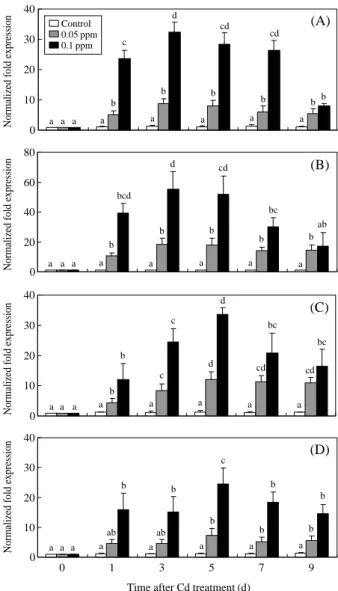 Figure 1. In the gills, SOD (A) and CAT (B) mRNA expres-