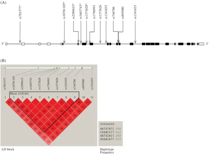 Table 1. Primer of each single nucleotide polymorphism in TMC1 gene.