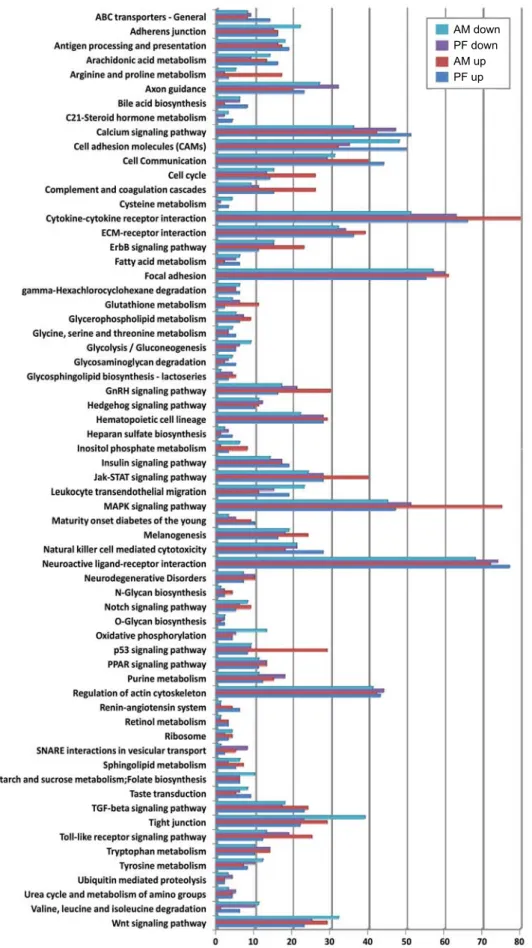 Figure 1. Gene Ontology classifications of genes based on comparison of gene  ex-pression between  experimen-tal (paeoniflorin (PF)-treated and anisomycin (AM)-treated) and control (non-treated) in human leukemia U937 cells.AM down