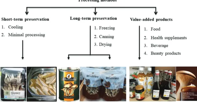 Figure 3. Postharvest management and processing method of Pleurotus species.