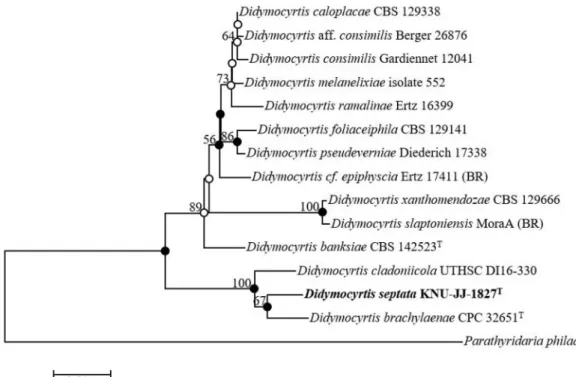 Figure 2. Neighbor-joining phylogenetic tree of KNU-JJ-1827 based on combined sequences (ITS þ LSU), showing the phylo- phylo-genetic position among the related strains in the genus Didymocyrtis