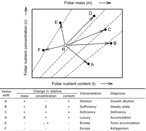 Figure 1. Vector interpretations of directional changes in relative dry mass (m), nutrient content (t), and nutrient concentration (c) of plants grown at different fertilizer applications