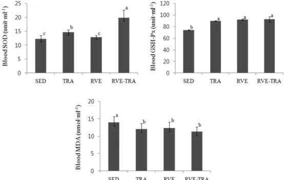 Fig. 1. Changes of blood antioxidants and oxidant with training or/and  Rhus Verniciflua  Stokes extract ingestion for 8-week in rats