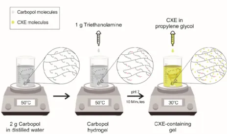 Fig. 1. Schematic representation of CXE-containing gel preparation.