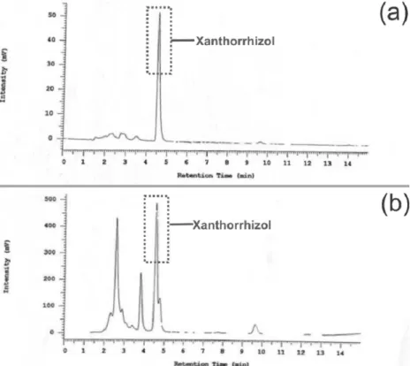 Fig. 2. HPLC Chromatogram of Xanthorrhizol (a) Standard; and (b) CXE of this present study.