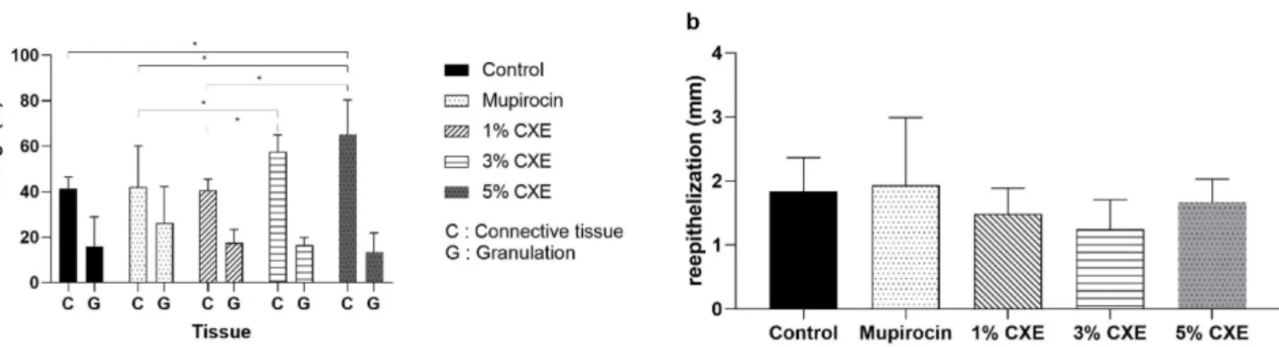 Fig. 8. CXE-containing gel’s effect on (a) tissue proliferation (b) reepithelization after 12 days treatment, C indicates connective tissue, G indicates granulation