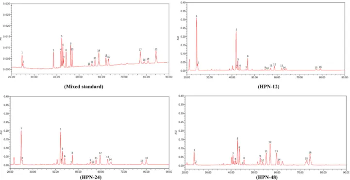Fig. 2. HPLC chromatogram of ginsenosides in the heat process extracts (HPN) of tienchi seng (Panax notoginseng)