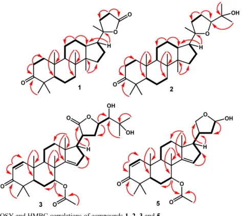 Fig. 2. Selected  1 H- 1 H COSY and HMBC correlations of compounds 1, 2, 3 and 5.