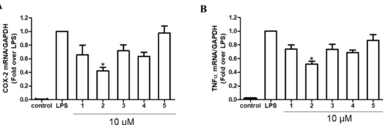 Fig. 3. The effects of compounds 1–5 on the mRNA expression levels of TNF-α and COX-2 in RAW 264.7 macrophages