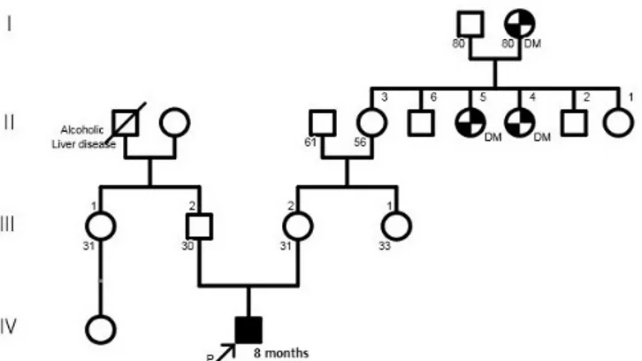 Figure 1.  Family pedigree. The proband is indicated by an arrow.  Abbreviation: DM,  diabetes mellitus.