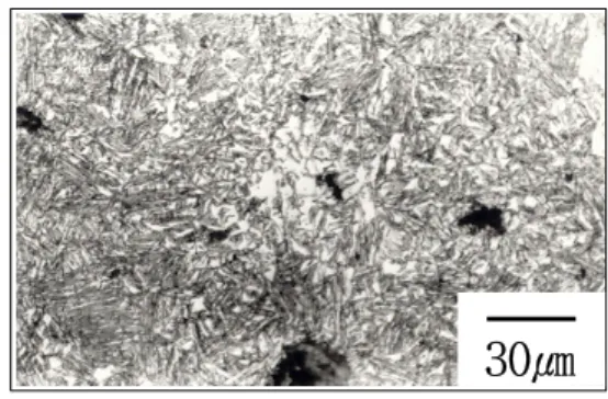 Fig. 2 Optical micrograph showing the effect of  austempering at 400℃ after austenitizing 