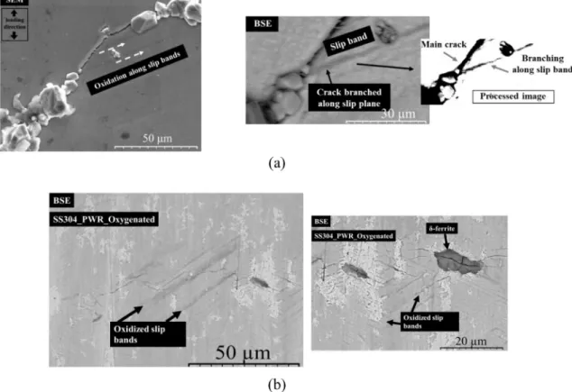 Fig. 10. (a) Oxidation and crack branching along the slip bands and (b) oxidized slip bands in the austenite matrix and near d -ferrite globules.