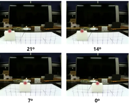 Fig. 10. Field-of-view (FOV) tests for coded-aperture gamma-ray imaging system based on GAGG(Ce) scintillator array coupled with a 12  12 pixels SiPM array when exposed to a 0.74 MBq of 137 Cs at 50 cm distance from the mask with 7  angle incensements