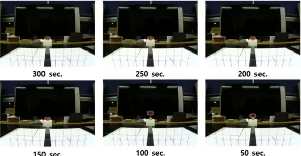 graphic images were acquired for 60 s at each location to determine whether the reconstructed source is accurately located when compared with the overlapping optical image
