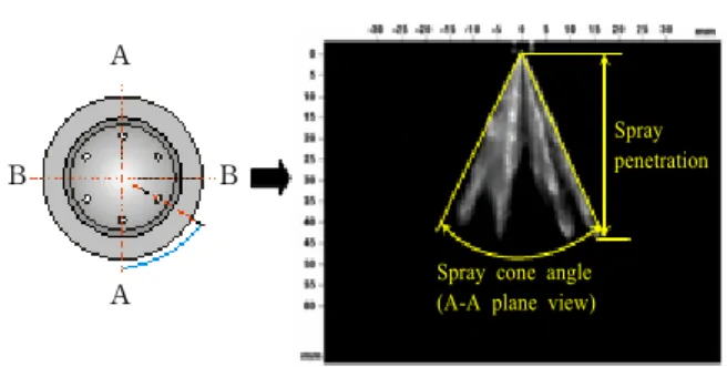 Fig. 2 Injector nozzle and spray view