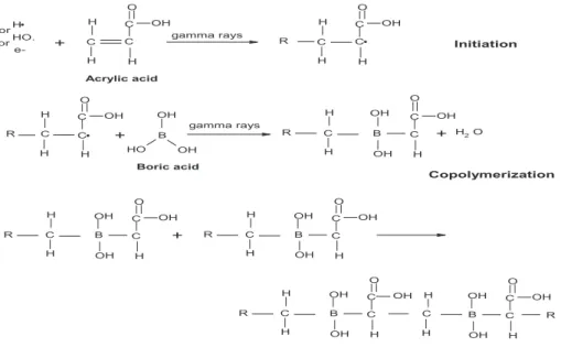 Fig. 2. Possible copolymerization mechanism of acrylic/boric acid composites.