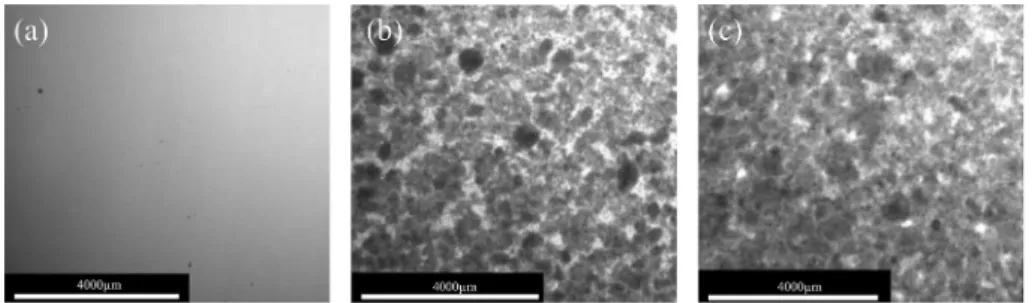 Fig. 2 (a ec) shows the surface morphology of PMMA composite