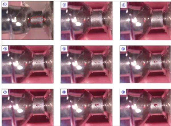 Fig.  3.  Small  crack  magnification  of  molybdenum  pin