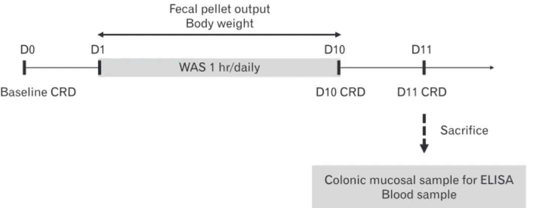 Figure 1.  Experimental design. CRD,  colorectal distention; WAS, water  avoid-ance stress; D0, Day 0; D1, Day 1; 