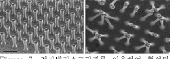 Figure 8. AFM tapping mode를 통해 구현한 나 노 섬모.