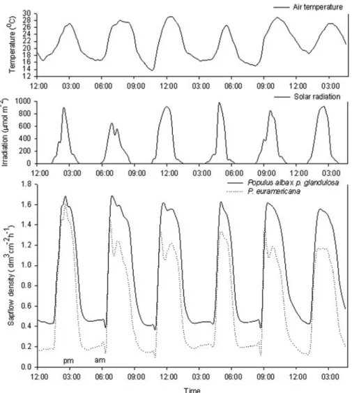 Figure 4. Diurnal variation in sap flow of poplars with irradiation and temperature from June 10 to 18