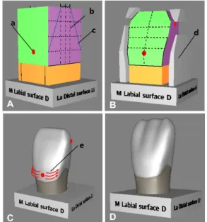Fig.  2.  Wolkflow  of  the  “augmented  reality-based  content  for  tooth  sculpting  practice”  using  a  mobile  application  interface