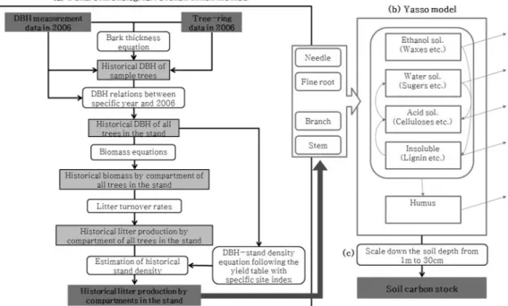 Figure 1. The flow chart of the soil carbon modeling with Yasso07 using the dendrochronological reconstruction method.