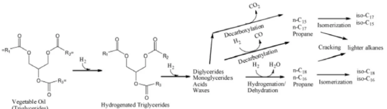 Figure 7. 식물성 오일을 이용한 hydrotreating 반응 모식도[12]. 부터 상당한 불만을 받아 자동차 업계는 바이 오디젤의 품질기준을 EN14214 수준으로 상향  조정할 것을 요구하고 있는 실정이다