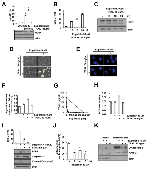 Figure 1: Eupafolin sensitizes TRAIL-induced apoptosis in Caki cells.  A-C. Caki cells were treated with 50 ng/ml TRAIL in the  presence or absence of the indicated concentrations with eupafolin for 24 h (A) or indicated time periods (B and C)