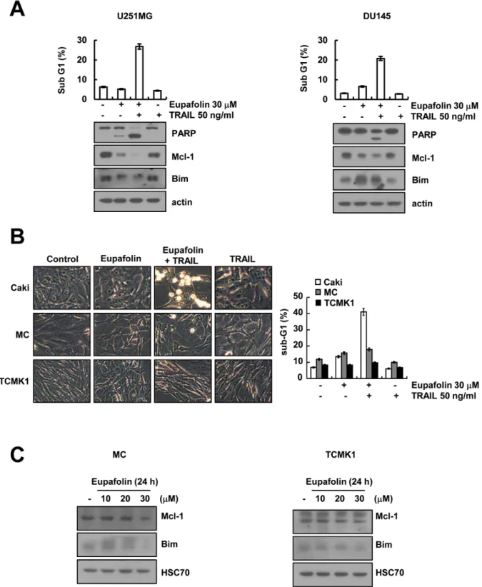 Figure 5: Effect of eupafolin plus TRAIL treatment on apoptosis of other carcinoma cells and normal cells