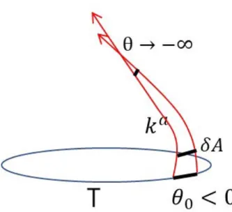 Fig. 5. Expansion along a null geodesic congruence orthogonal to T.