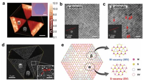 Fig. 1. Heterogeneous defect domains in hexagonal WS2 single crystals grown by chemical  vapor  deposition