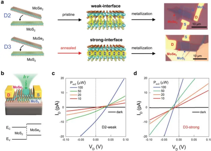 Fig.  3.  Tunneling  photocurrent  assisted  by  interlayer  excitons  for  strongly  coupled  MoSe2/MoS2  heterobilayer  devices