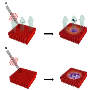 Fig. 6. Magnetic cooling by external magnetic field with femtosecond laser  pulse  pumping
