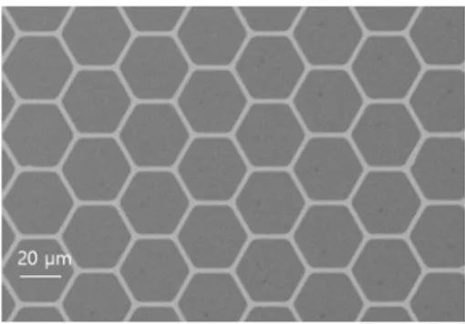 Fig.  9.  Honeycomb  mesh  obtained  from  the  etching  of  single  crystal  Cu  film.되는  것으로  추정된다
