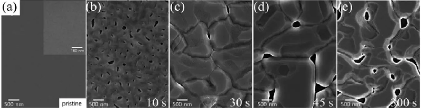 Fig.  14.  SEM  results  of  Cu  and  Cu 2 O  films  oxidized  at  800 °C  for  a  different  duration  time  from  10  s  to  300  s.