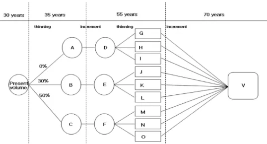 Figure 2. Flow chart of thinning pathway process (no thinning, 30%, 50%) by tree age.