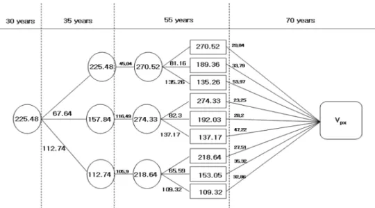 Figure 5. Network of optimal thinning pathway for korean white pine stand.