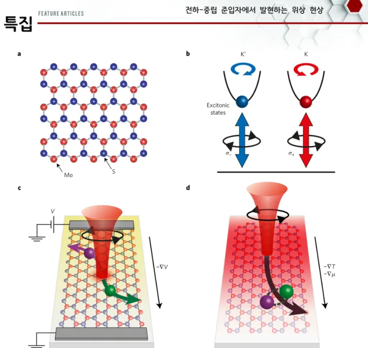 Fig.  2.  a,  Crystal  structure  of  monolayer  MoS 2 .  b,  Valley-coupled  optical  selection  rule  in  monolayer  MoS 2 