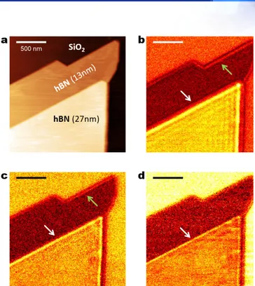 Fig.  8.  (a)  Topography  of  hBN  flake.  s-SNOM  images  for  (b)  1530  cm -1 ,  (c)  1548 cm -1 ,  and  (d)  1562 cm -1 