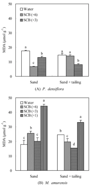 Table 3. Changes on antioxidative enzyme activities in the leaves of  P. densiflora  and  M