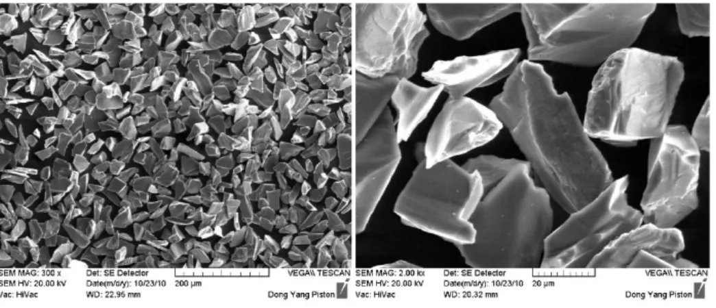 Fig 3. The SEM image of SiC powder(30㎛)
