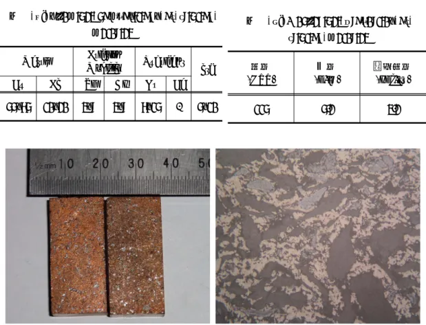 그림  2.  Brake  pad  for  test 그림  3.  Microstructure  of  T1(x50)