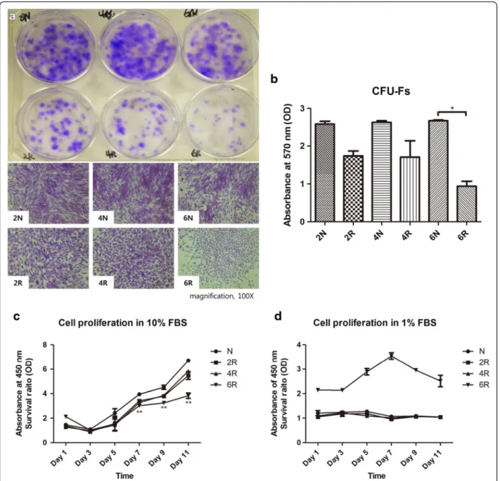 Fig. 2 Proliferation capacity. a Macroscopic and microscopic view of colony-forming units (CFUs) determined by crystal violet staining