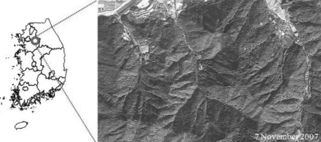 Figure 1. Study area with the pan-sharpened KOMPSAT-2 imagery.