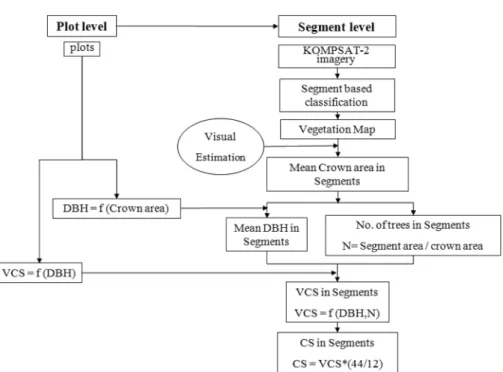 Figure 2. Study process for estimating carbon sequestration (VCS : vegetation carbon storage, CS : carbon sequestration)