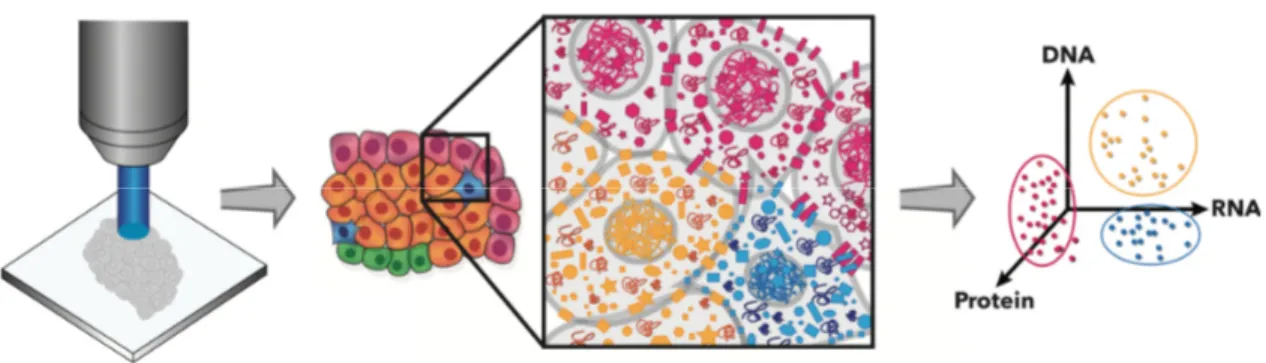 Fig.  5.  (a)  Schematic  of  iSCAT  microscopy.  The  scattered  field( Es )  from a nanoparticle is interfered with the  reflected field( Er ) for high  sensitivity